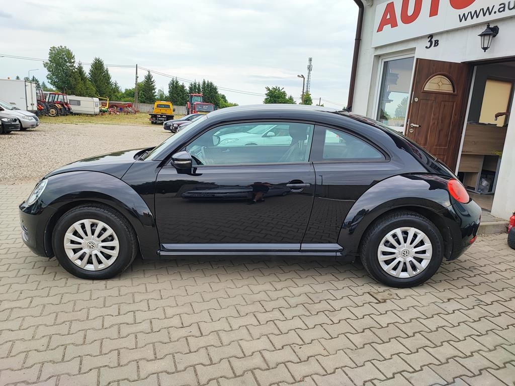 IMG_20230719_160902 (Copy)