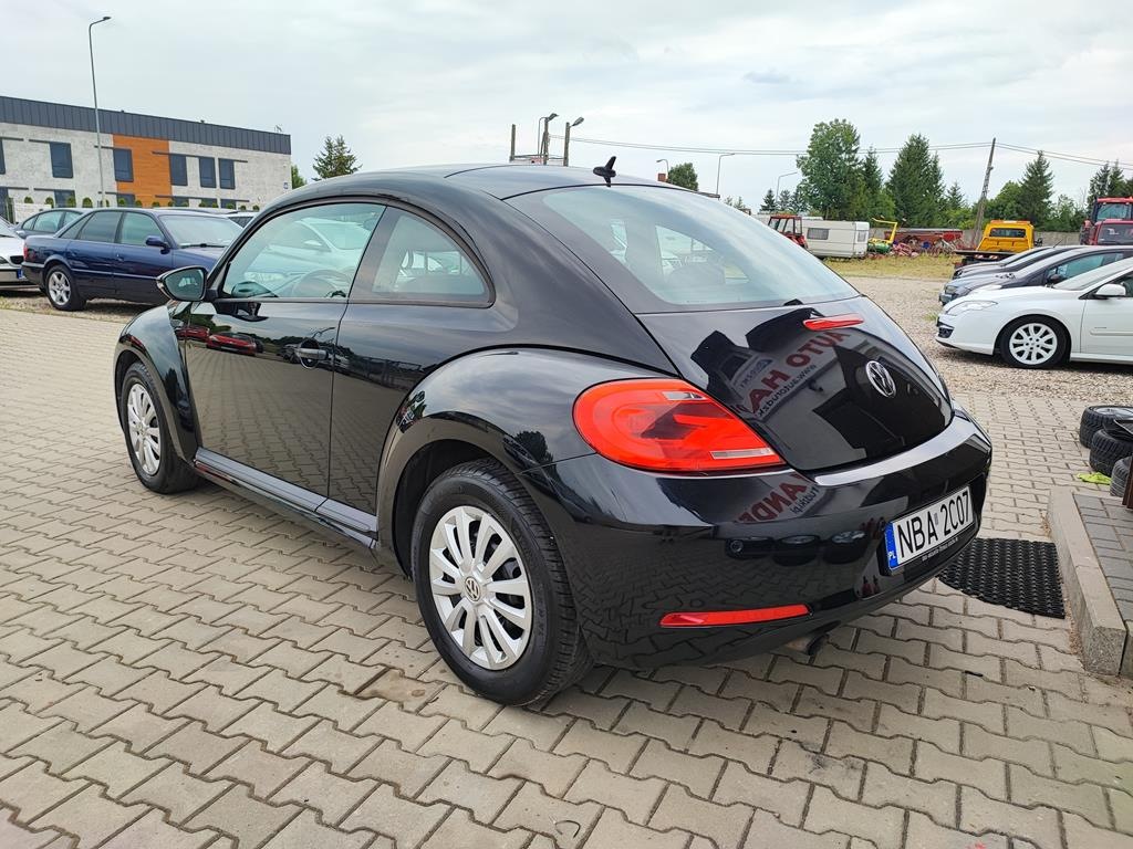 IMG_20230719_160925 (Copy)