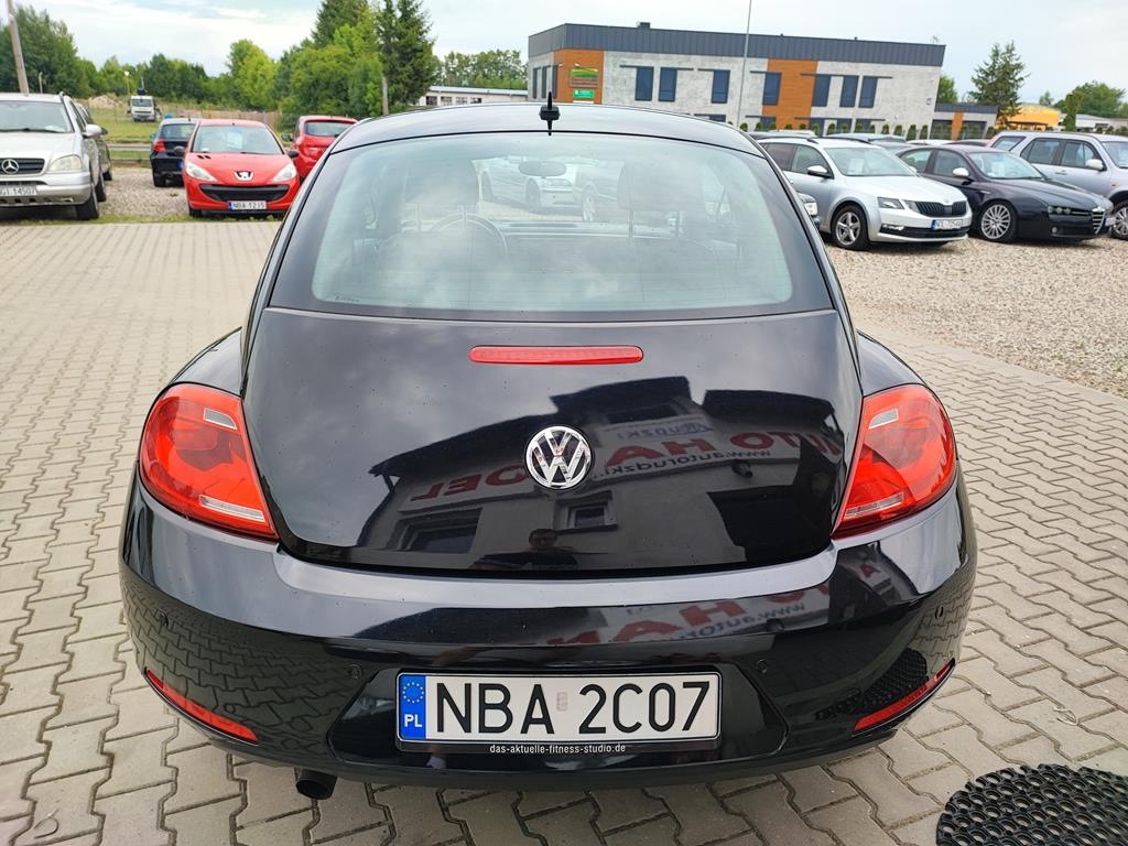 IMG_20230719_160934 (Copy)