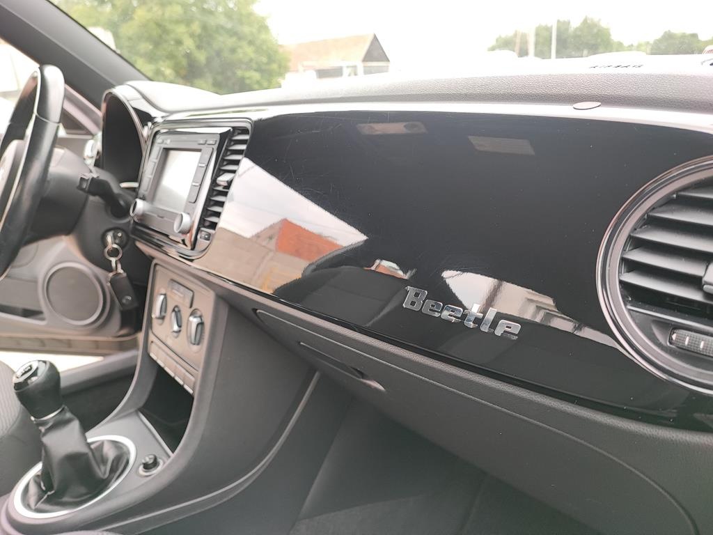 IMG_20230719_161515 (Copy)