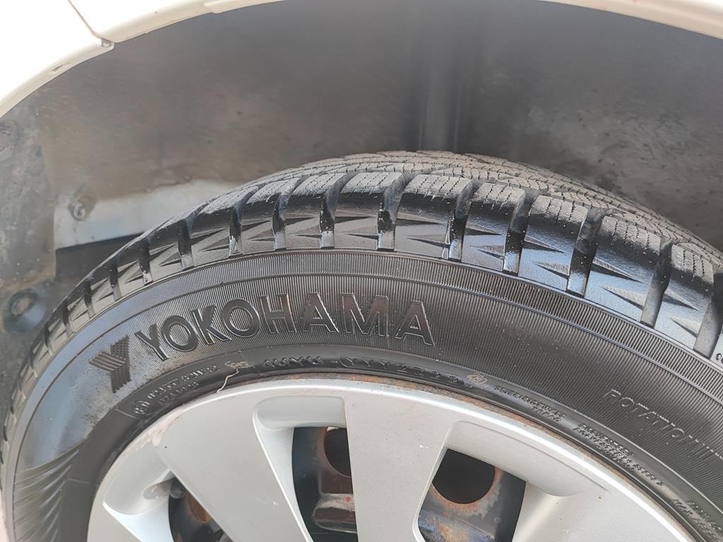 IMG_20230821_172004 (Copy)