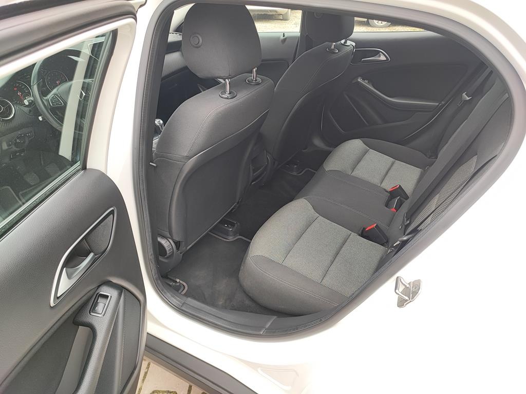 IMG_20240325_130342 (Copy)