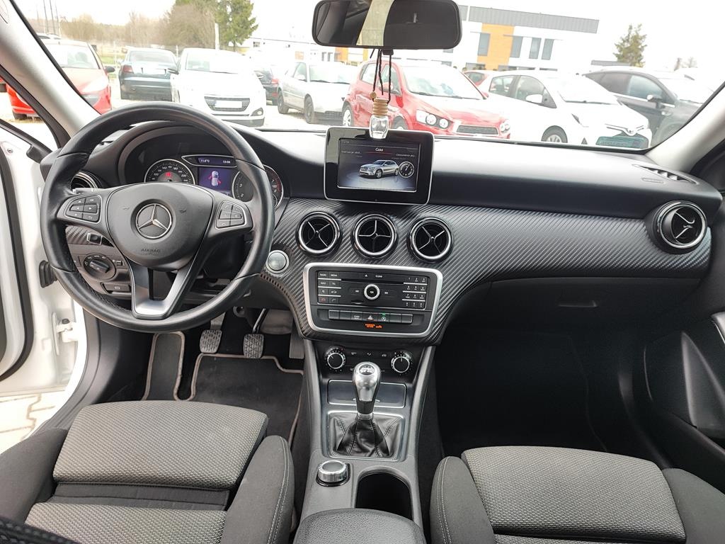 IMG_20240325_130437 (Copy)