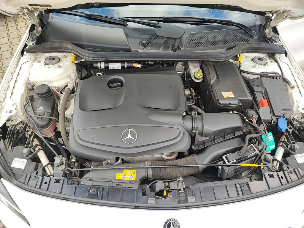 IMG_20240325_130505 (Copy)