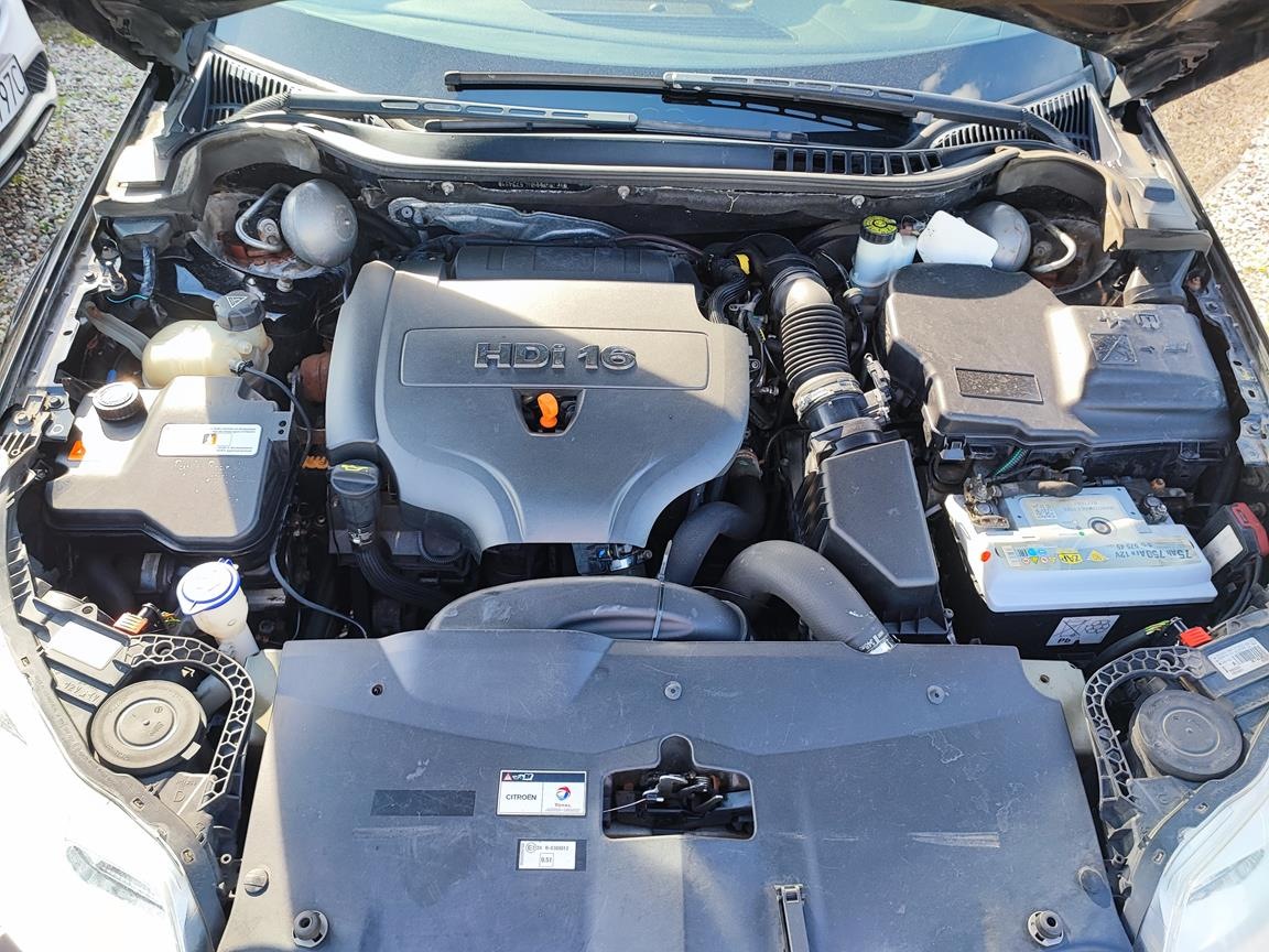 IMG_20240710_170219 (Copy)