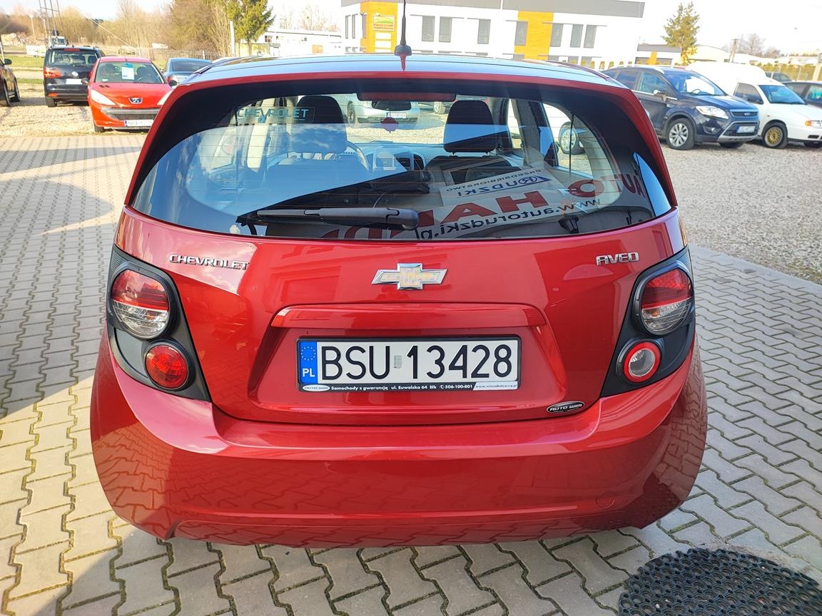 IMG_20240326_155609 (Copy)