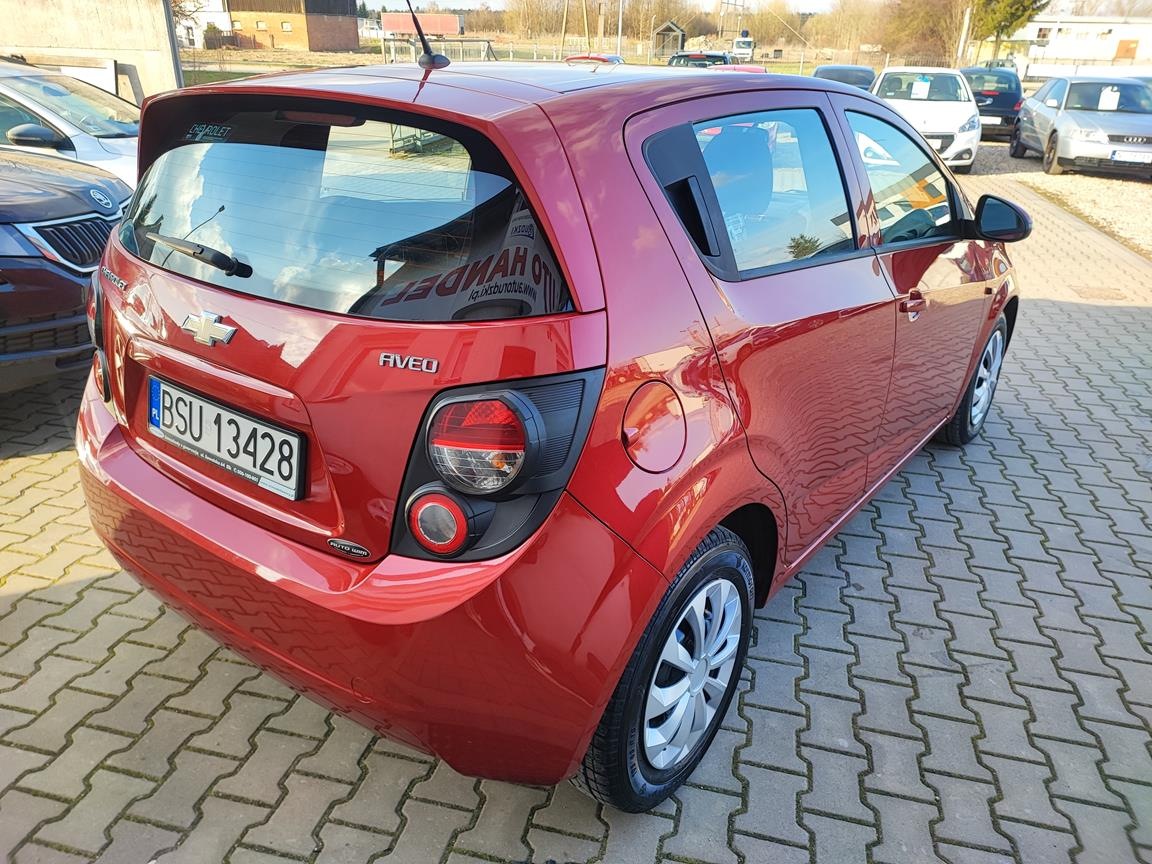 IMG_20240326_155617 (Copy)