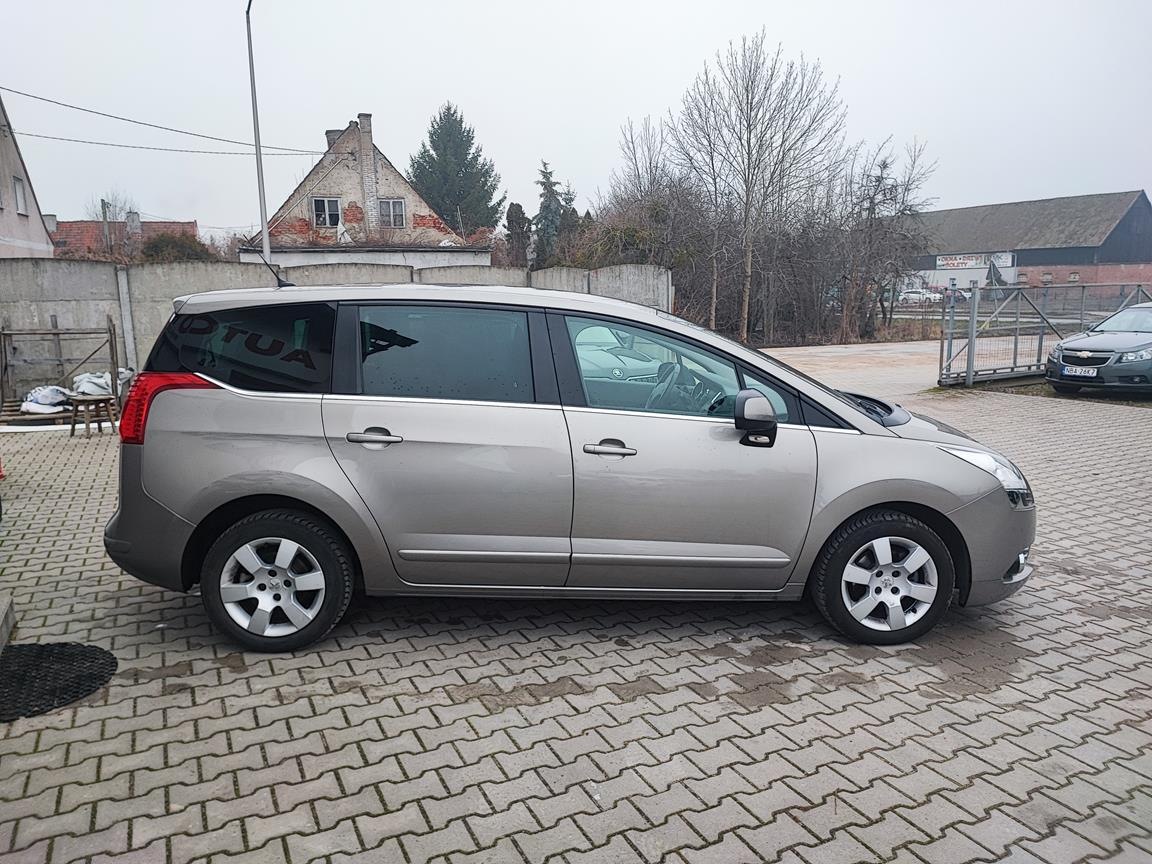 IMG_20250121_150241 (Copy)