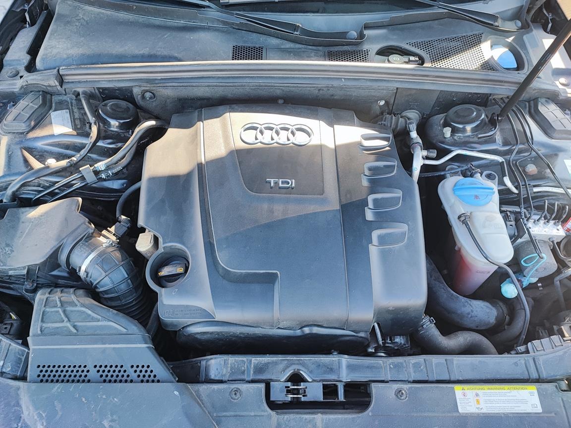 IMG_20250822_170635 (Copy)